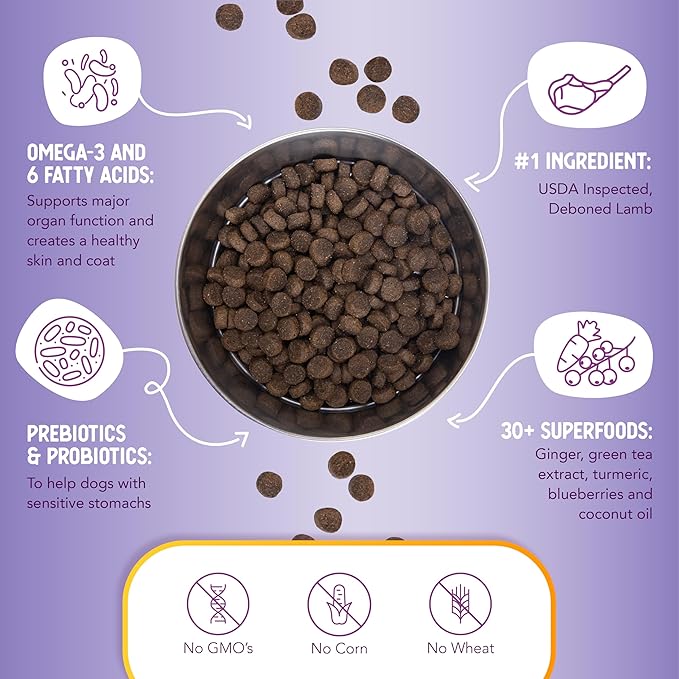 Health Extension Lamb & Brown Rice Dry Dog Food, Protein Packed Formula with Probiotics & Superfoods for Digestion & Coat Health (1lb)