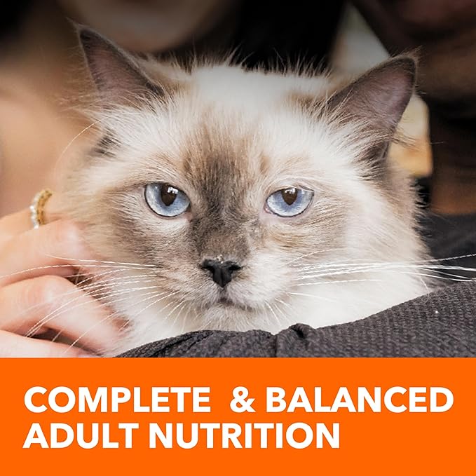 IAMS Proactive Health Indoor Weight Control & Hairball Care Adult Dry Cat Food, Salmon Recipe, 16 lb. Bag