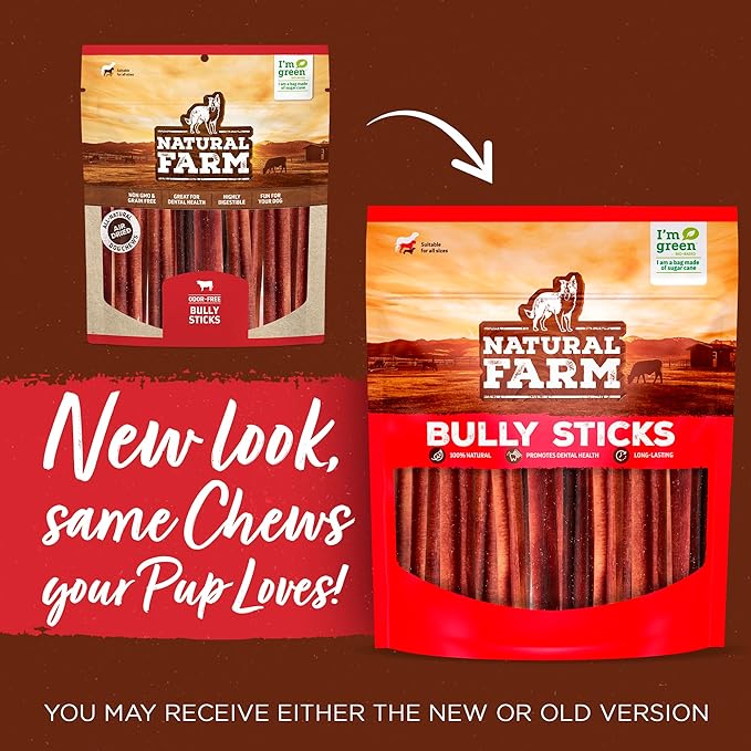 Natural Farm Odor-Free Thick Bully Sticks (6”, 5-Pack) All-Natural Long-Lasting Dog Chews, 100% Beef Pizzle, Grass-Fed, Grain-Free, Protein for Muscle Development & Energy, Perfect for Medium Chewers