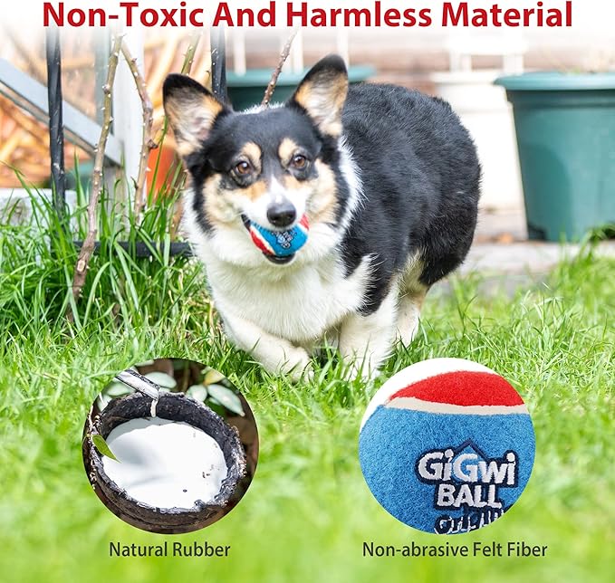 Gigwi Tennis Balls for Dogs, Squeaky Dog Tennis Balls for Exercise, High Bouncy Pet Ball Bright Colors 2.5 Inches, Interactive Funny Dog Toys for All Breeds of Dogs Indoor & Outdoor Dog Games, 3 Pack