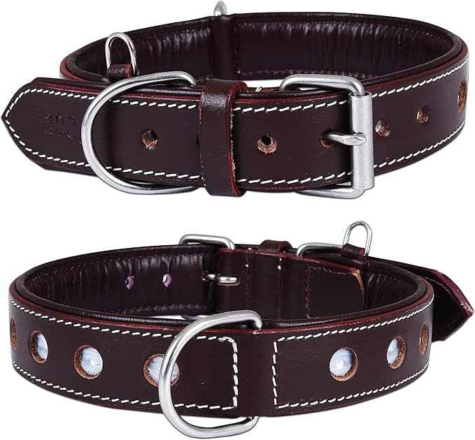 | Genuine Leather Dog Collar | Full Grain, Heavy Duty | Comfortable, Padded, Strong | Best for Pups, Small, Medium, Large & XL Breeds (Small (Fit Neck Size 11.5"-14.5"), Garnet)