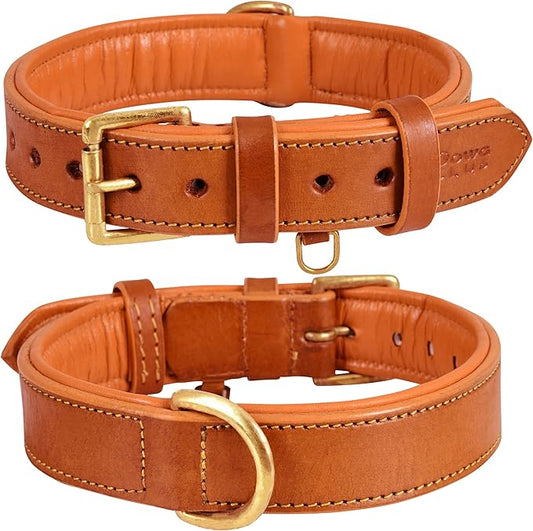 | Genuine Leather Dog Collar | Full Grain, Heavy Duty | Comfortable, Padded, Strong | Best for Pups, Small, Medium, Large & XL Breeds (X-Large (Fit Neck Size 22"-26"), Tangerine Orange)