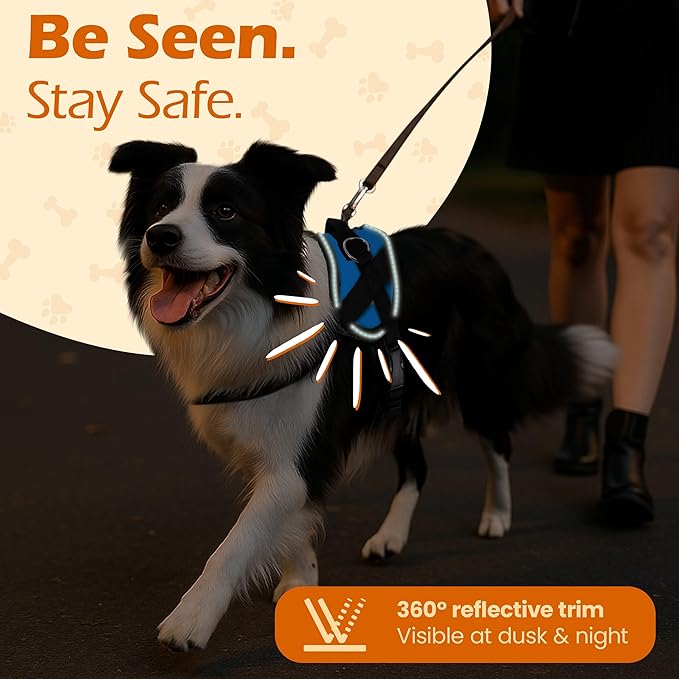 Bark Appeal Aqua Blue No-Pull Dog Harness for Small to Medium Sized Pets – Adjustable, Reflective Vest with 3 Leash Clips for Added Control, Easy Walks & Training – Medium