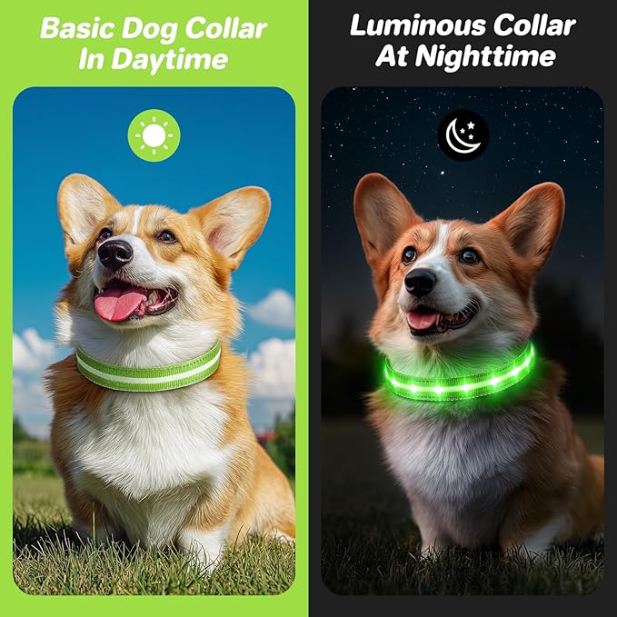 PcEoTllar Light Up Dog Collars, Led Dog Collar, Rechargeable, Night Walking, Waterproof, Glow in The Dark Dog Collars Light for Large Small Medium Dogs, Green m