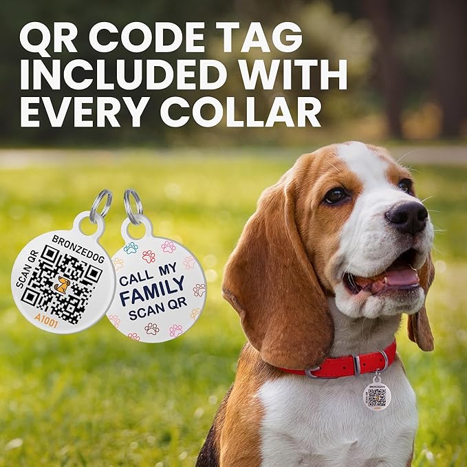 BRONZEDOG Rolled Leather Dog Collar for Small Medium Large Dogs with QR ID Tag (M: 14-16 Inch, Teal)