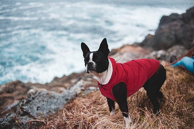 Fleece Hoodie, Windproof Waterproof Coat, Winter Warm Jacket for Dogs - Cold Weather Pet Apparel Clothes Vest for Small Medium Large (2XL, Red)