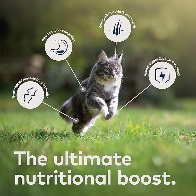 ZIWI Peak Wet Cat Food – All Natural, High Protein, Grain Free, Limited Ingredient, with Superfoods (Mackerel & Lamb, Case of 6, 3oz Cans)