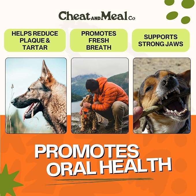Bully Sticks for Small Dogs, (6 Inch, 25 Count), Small Chew Toy for Puppies and Senior, Natural, Single Ingredient, 100% Beef Pizzle, Long Lasting Treats, Grass Fed, Rawhide-Free