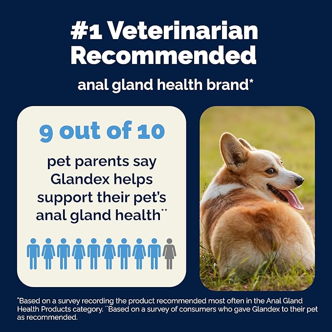 Vetnique Glandex Dog Fiber Supplement Powder for Anal Gland Health with Pumpkin, Digestive Enzymes & Probiotics - Vet Recommended (Regular or Advanced Strength) - Boot The Scoot (5.5 oz, Salmon)