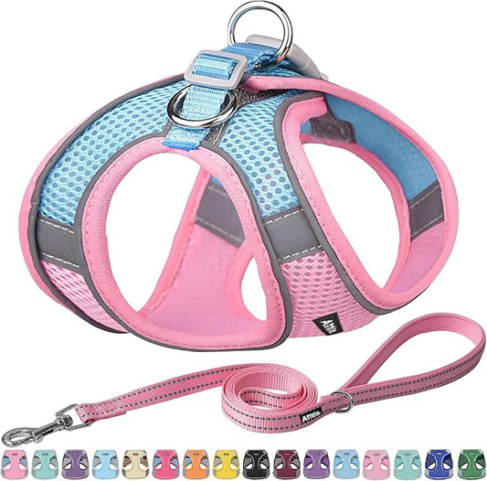 AIITLE Comfortable Dog Harness and Leash Set for Walking - Summer Step in Vest Harness,Reflective Bands, Adjustable No Pull Puppy Essentials, for Small Dogs and House Cats Pink XS