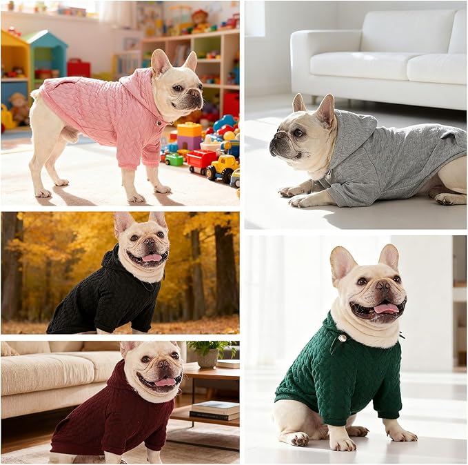 EXPAWLORER Textured Cable Knit Basic Dog Hoodie, Elevated Style Dog Sweater with Leash Hole and Pocket, Soft and Warm Pet Winter Coat, Cold Weather Clothes for Small Medium Large Dogs Cats,Green S