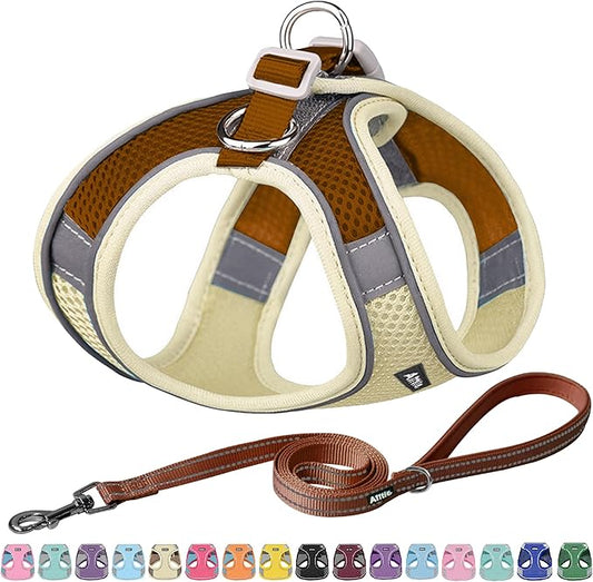 AIITLE Easy Walk Dog Harness and Leash Set - Pet Supply No Pull, Step in Adjustable Pet Harnesses with Padded Vest for Summer, No Choke Over, Easy to Put on Medium Dogs Beige L