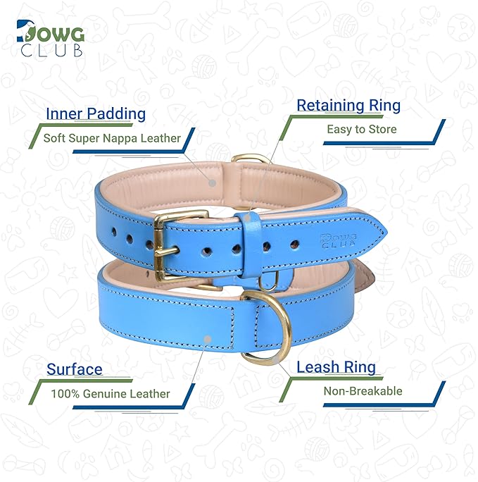 Genuine Leather Dog Collar | Full Grain, Heavy Duty, Comfortable, Padded, Strong | Best for Pups, Small, Medium, Large & XL Breeds (Large (Fit Neck Size 18.5"-22.5"), Blue)