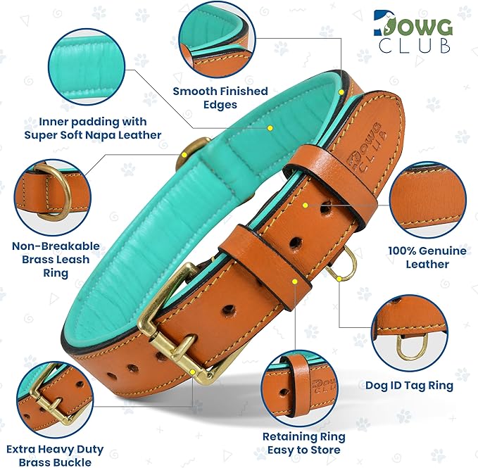 Leather Dog Collar for Medium Dogs, Tan, 1 Inch Wide, Genuine Full Grain Leather, Heavy Duty with Soft Inner Padding, Comfortable and Durable (Medium (Fit Neck Size 14.5"-18.5"), Tan)