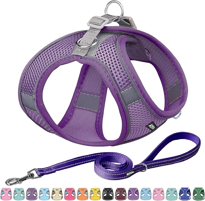 AIITLE Dog Harness, Summer No-Pull Cat Harness with a Leash, Adjustable Reflective Dog Vest, Cat Harness Escape Proof, Outdoor Walking, Camping for Extra Small Dogs and House Cats Pure Purple XXXS