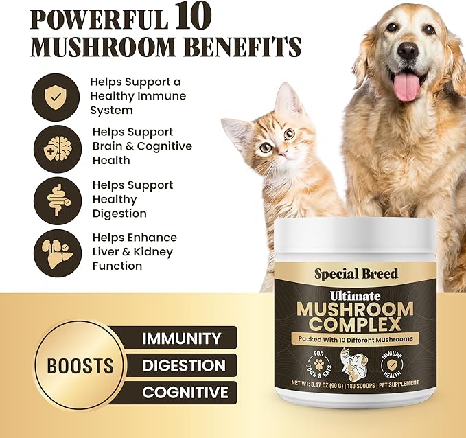 Mushroom Powder for Dogs & Cats - Organic Mushroom Complex for Immune Support, Cognition, Vitality - Ten Mushroom Supplement with Turkey Tail, Lion's Mane, Reishi - 180 Scoops