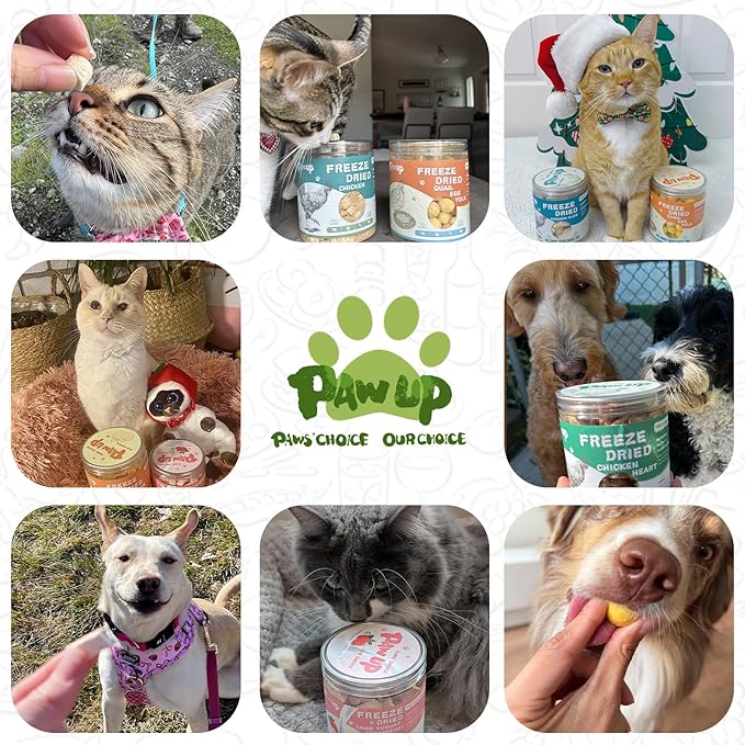 PAWUP Freeze Dried Chicken Heart Pet Treats, High Protein Freeze-Dried Pet Food for Dogs, Cats, Fresh Ingredient, 3.2 oz, Rawhide Free, Gluten&Grain Free