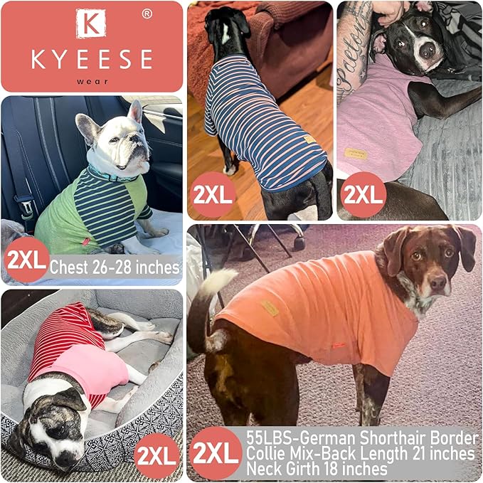 KYEESE 2Pack Dog Sweater Pets Clothes with Sleeves Stretchy Pet Coat Comfy Pets Sweaters Pullover Dogs Sweatshirt Soft Dog Sweaters for Medium Dogs Girl Lightweight Pet Fleece Sweater for Cold Weather