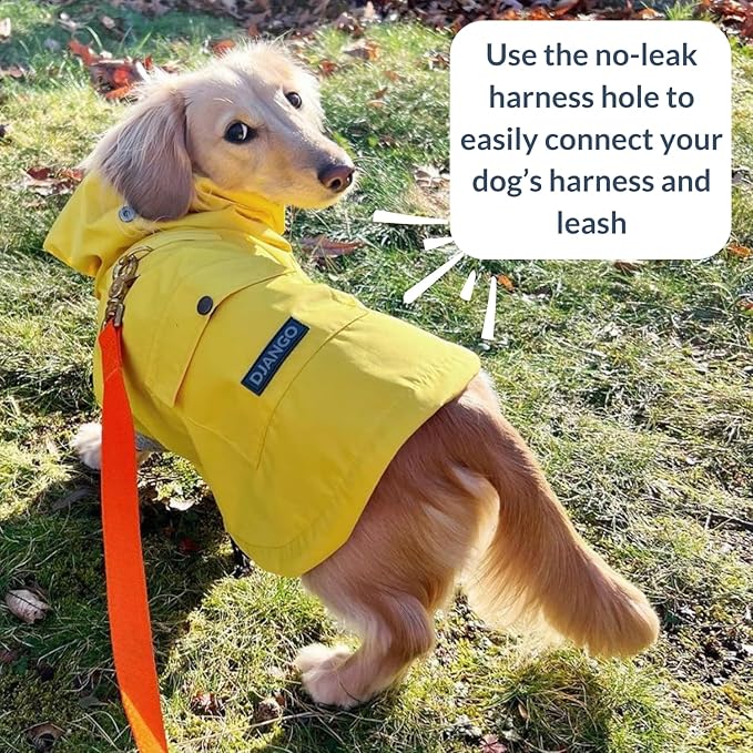DJANGO Highland Dog Jacket & Raincoat – Water-Repellent, Lined Dog Coat with Hood, Adjustable Fit & Harness Hole – Lightweight Rain & Wind Jacket for Small & Medium Dogs up to 30 lbs (Yellow, Large)