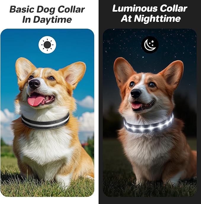 PcEoTllar Light Up Dog Collars, Led Dog Collar, Rechargeable, Night Walking, Waterproof, Glow in The Dark Dog Collars Light for Large Small Medium Dogs, Black s