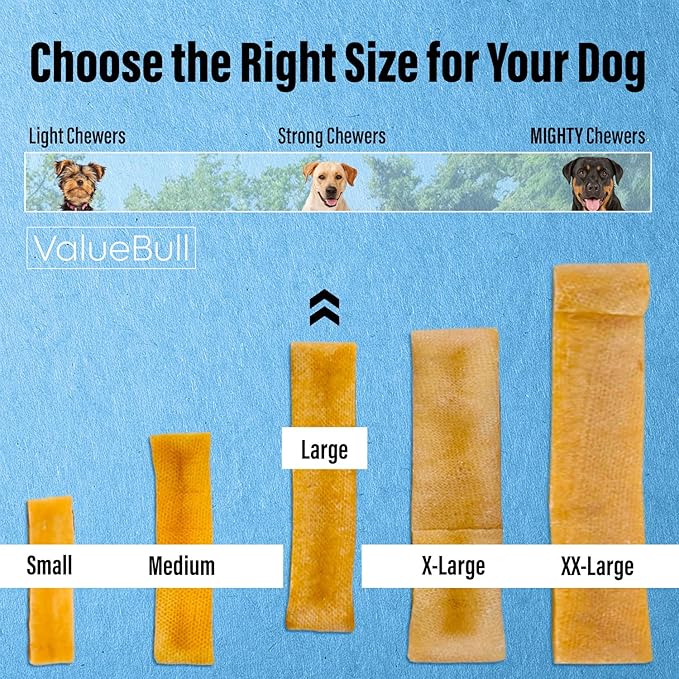 ValueBull Himalayan Yak Cheese Dog Chews, Large, 25 ct Bulk Pack - Long Lasting for Aggressive Chewers, All Natural, Healthy & Safe, Low Odor Nepal Yak Milk Chews