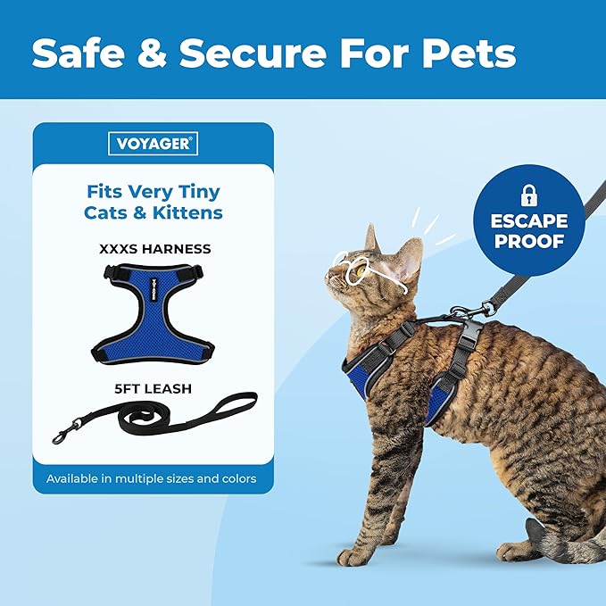 Voyager Escape Proof Cat Harness and Leash Set with Reflective Stitching, Neoprene Handle 5ft - Supports Small, Medium and Large Cats, Kittens for Walking by Best Pet Supplies - BT-Royal Blue, XXXS