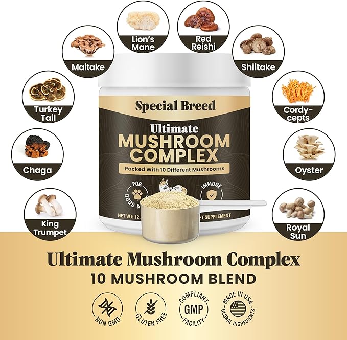 Mushroom Powder for Dogs & Cats - Organic Mushroom Complex for Immunity Support, Immune Function, Cognition, Vitality - Ten Mushroom Supplement with Turkey Tail, Lion's Mane, Reishi - 720 Scoops