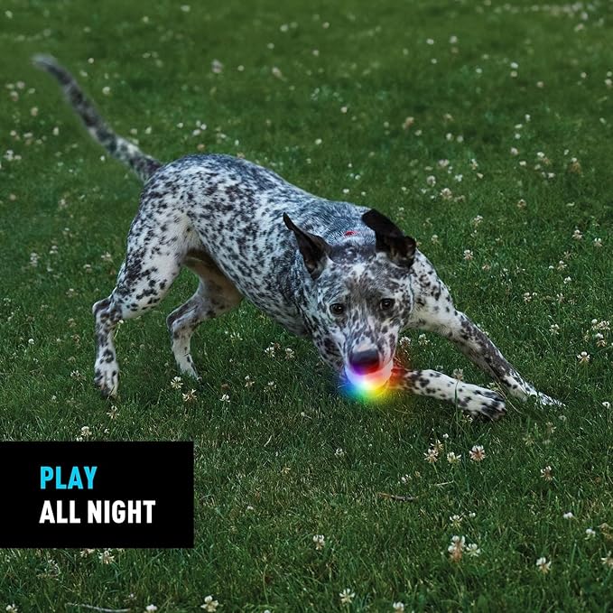 Nite Ize GlowStreak Rechargeable LED Ball - Rubber Dog Toy - Motion-Activated & Waterproof Design - 9 Hours of Runtime - Premium Dog Toys - Disc-O