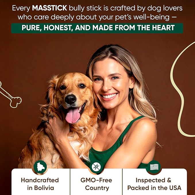MASSTICK Bully Sticks for Dogs 6 Inch – Extra Thick, Long Lasting, Odor Free Beef Dog Chew Sticks – All Natural, Fully Digestible Treats for Small & Large Dogs – 8oz Bag