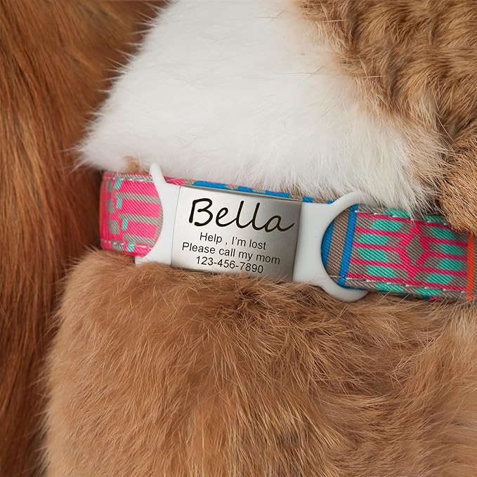 Anavia Slide On Silent Pet ID Tags, S/M/L/XL Personalized Multi-Color Silicone Band Cat Dog Name Tags, Customized Engraved Stainless Steel, Chew-Proof Quiet Dog Collar Tags (Blue, X-Large)