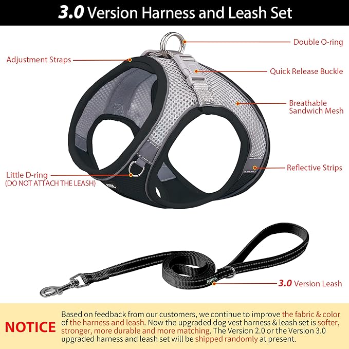 AIITLE Step in Dog Harness and Leash Set - Summer No Pull Escape Proof Vest Harnesses with Soft Mesh and Reflective Bands, Adjustable Pet Outdoor Harnesses for Small and Medium Dogs Black M