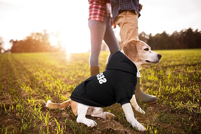 Dog Hoodie Security Dog Sweater Soft Brushed Fleece Clothes Hoodie Sweatshirt with Pocket for Small Medium Large Dogs (Small)