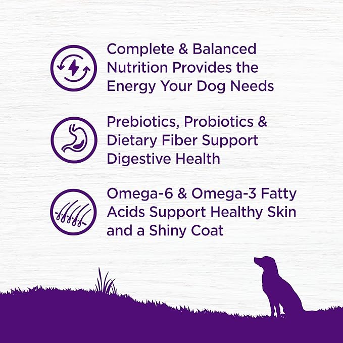 Wellness Natural Pet Food Complete Health Natural Grain Free Dry Dog Food, Chicken, 24-Pound Bag