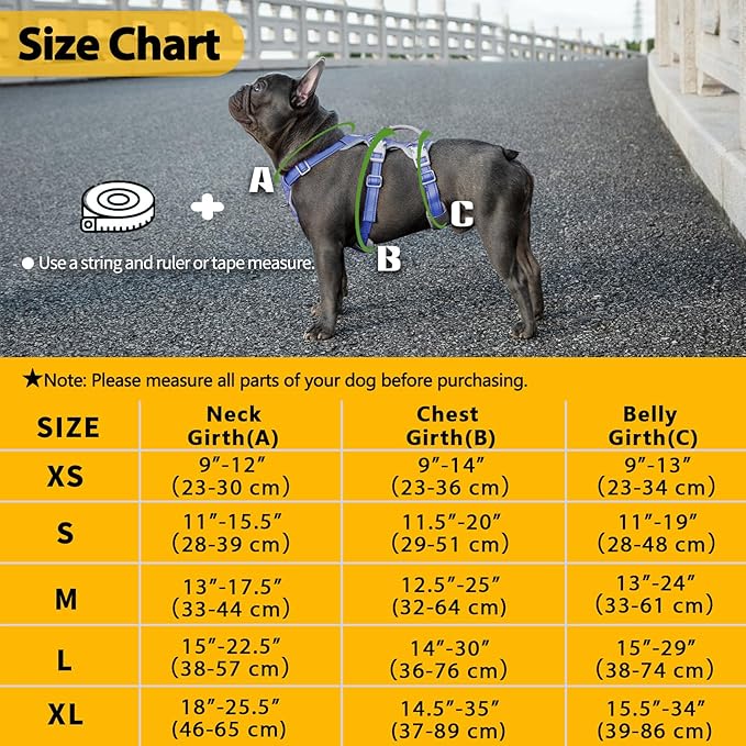 Huntboo Escape Proof Harness for Dogs, No Escape Dog Harness, No Pull Dog Harness for Small Dogs with Handle, Reflective, Breathable,Durable, Adjustable Vest for Walking,and Running Gear(Vista Blue,S)