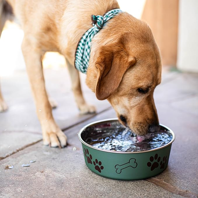 Loving Pets Bella Dog Bowls- Stainless Steel Dog & Cat Bowls - Spill Proof Dog Food Bowl, Cat Bowl, Puppy Essentials & Pet Supplies Great for Home & Travel (Medium 20-35 lbs, Artichoke)