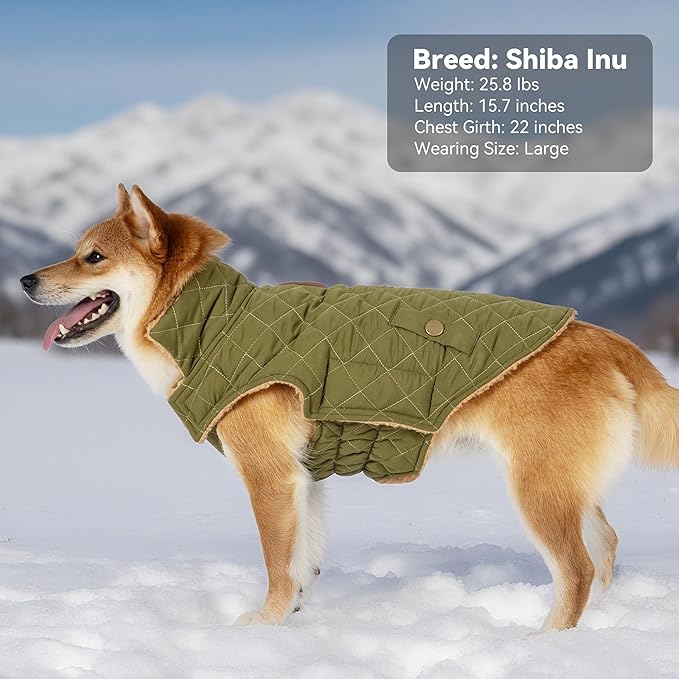 Dog Coat, Warm Winter Dog Waterproof Jacket for Medium Dogs, Fleece Lined Adjustable Dogs Coats Cold Weather Windproof Doggie Snowsuit with Leash Hole, Green X-Large