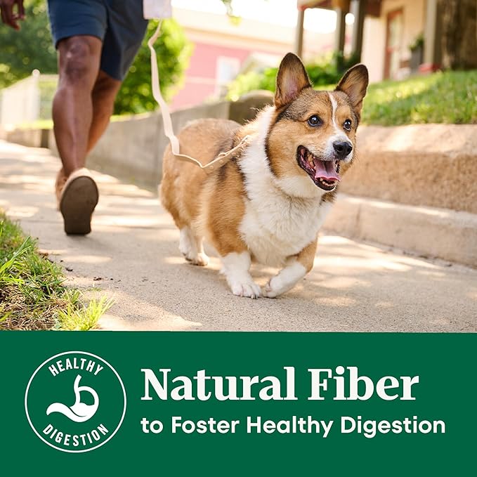 Nutro Natural Choice Salmon & Brown Rice Adult Dry Dog Food Recipe, 28 lb. Bag