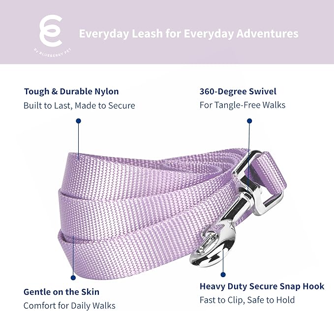 Blueberry Pet Essentials Lavender Dog Leash for Medium - 5' * 3/4" Dogs | Heavy Duty Nylon Lead | Lightweight Puppy & Cat Leash for Walking & Training