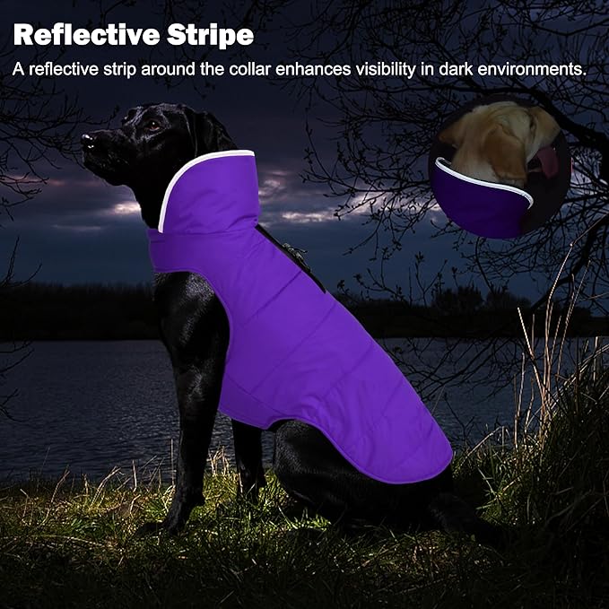 Dog Winter Coat, Waterproof Dog Jacket with Leash Hole, Reflective Adjustable Pet Snow Vest, Warm Fleece Sweater for Small Medium Large Dogs - Purple, S
