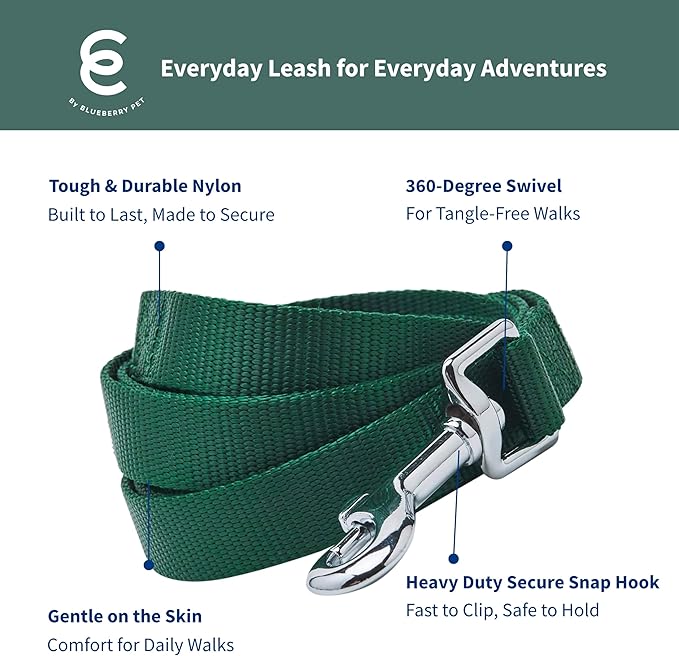 Blueberry Pet Essentials | Verdant Green Nylon Leash, 5ft x 3/4" | Lightweight & Durable for Training| Standard Dog Leashes & Lightweight Dog Leash for Training