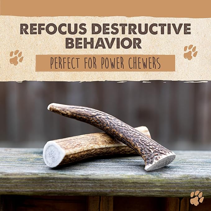 Mighty Paw Split Elk Antlers for Dogs (Sourced in The USA) | 1 Whole Medium 6"+ Long Lasting Bones for Aggressive Chewers - Naturally Shed Split Deer Antler for Dogs - Low Odor Chews (Pack of 1)