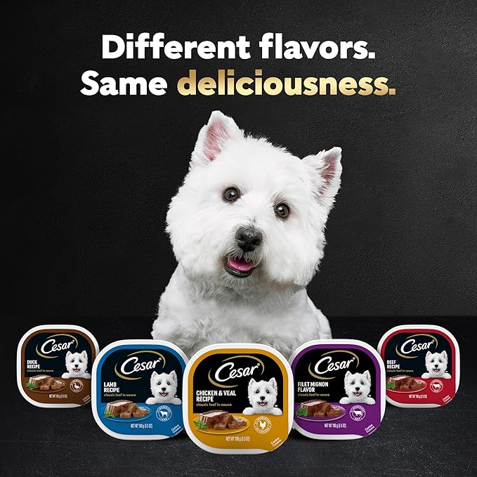 Cesar Wet Dog Food Classic Loaf in Sauce Filet Mignon and Porterhouse Steak Flavors Variety Pack, 3.5 oz. Easy Peel Trays (12 Count, Pack of 2)