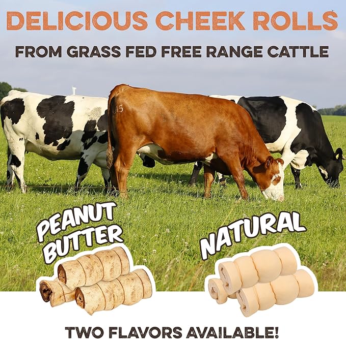 Premium Beef Cheek Rolls for Dogs 10-12" - (10-Pack), Peanut Butter Flavored Long Lasting, Safe & Natural Rawhide Alternative Chews, Ideal for Large Dogs & Aggressive Chewers, Supports Dental Health