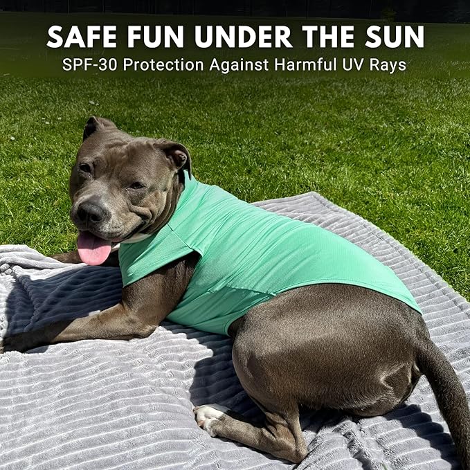 Spark Paws Sunblock Dog T-Shirt, SPF30 Protection, Lightweight Breathable Quick Dry for Dogs with Sensitive Skin - Peach & Mint (Set of 2) - S