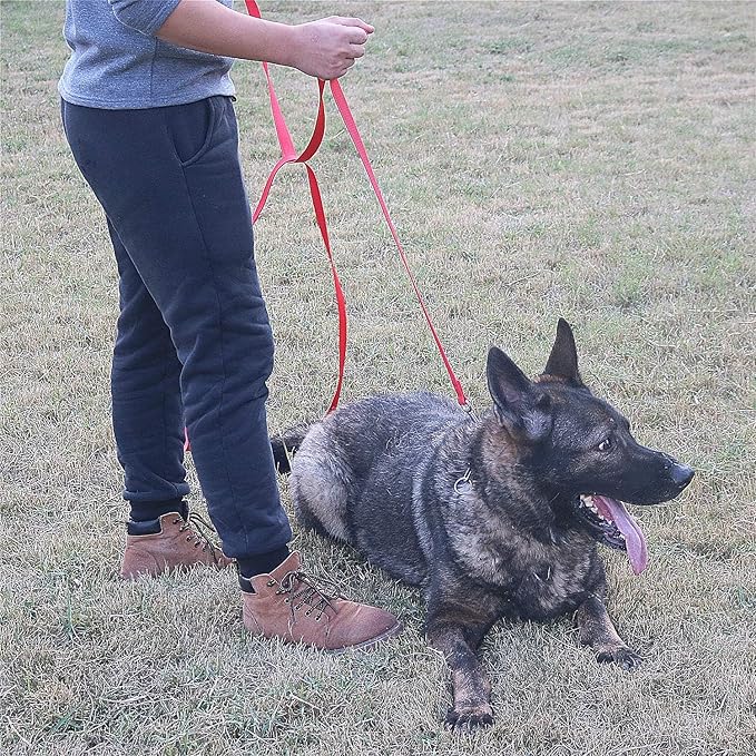 Dog/Puppy Obedience Recall Training Agility Lead - 15ft 20ft 30ft 40ft 50ft Training Leash - Great for Play, Camping, or Backyard (Pink, 20 Feet)