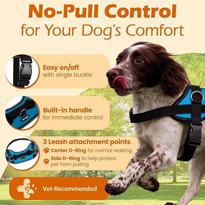 Bark Appeal Aqua Blue No-Pull Dog Harness for Extra Small Sized Pets – Adjustable, Reflective Vest with 3 Leash Clips for Added Control, Easy Walks & Training – XS