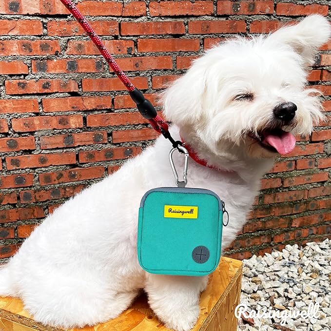 Dog Treat Pouch for Pet Walking and Training with Clicker Poop Bags Small Fanny Zipper Pack Holder for Puppy Snack Dispenser Kit for Leash and Outdoor Use （Green）