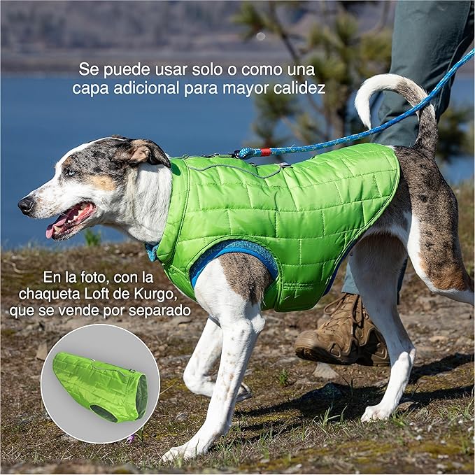 Kurgo Core Dog Sweater, Knit Dog Sweater with Fleece Lining, Cold Weather Pet Jacket, Zipper Opening for Harness, Adjustable Neck, Year-Round Sweater for Large Dogs (Heather Violet, X-Large)