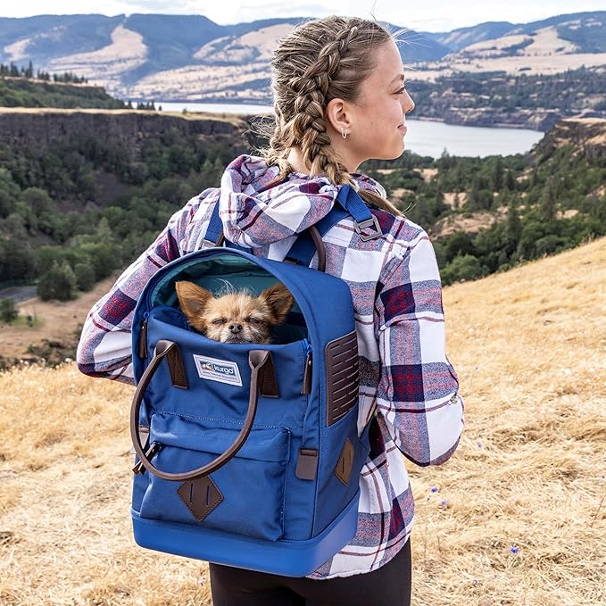 Kurgo Nomad Carrier Backpack - Airline Approved Dog Bag for Travel - Stylish Pet Backpack with Waterproof Bottom - Lightweight for Hiking - Small Breed Dog Carrier with Tablet Sleeve - Red