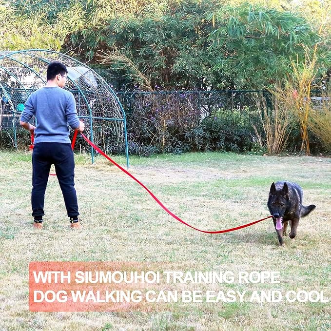Dog/Puppy Obedience Recall Training Agility Lead - 15ft 20ft 30ft 40ft 50ft Training Leash - Great for Play, Camping, or Backyard (Military Green, 30 Feet)